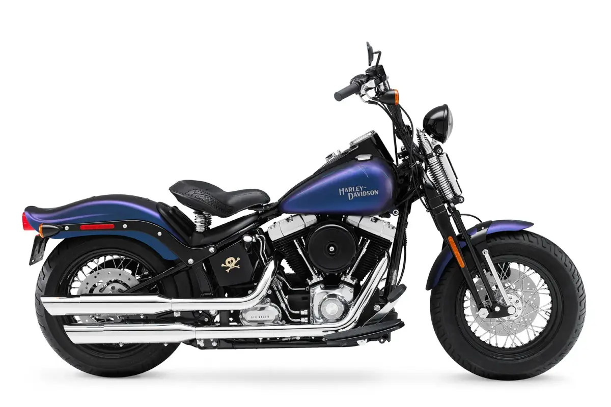 2010-Harley-Davidson-CrossBones-FLSTSBa