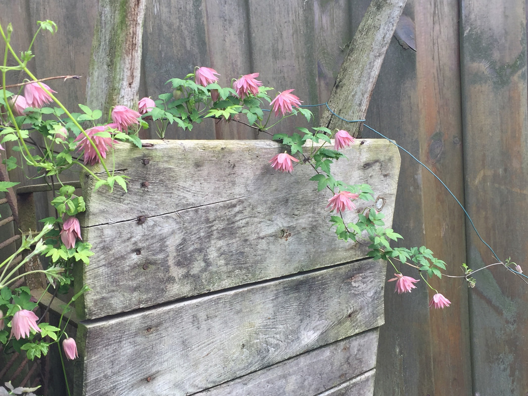 EFC3BDCA-F482-4ADA-B79B-1C36FFC28133