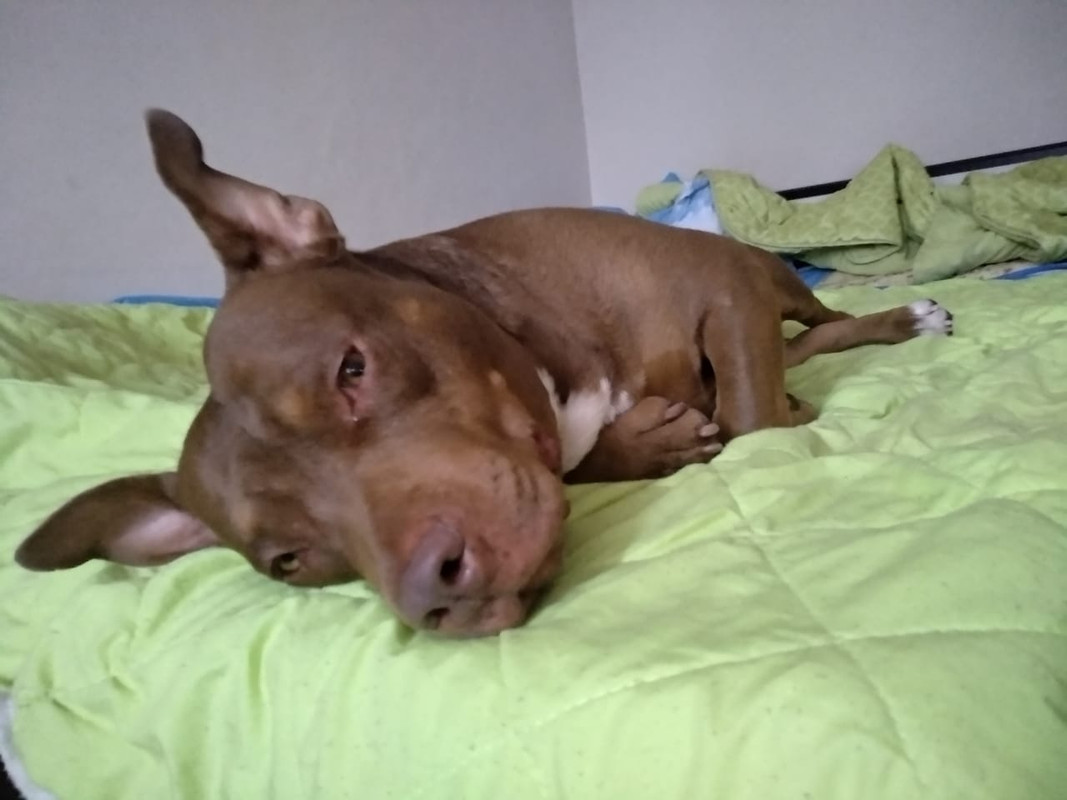 78077606-9176-471E-974A-FD14C06009D4