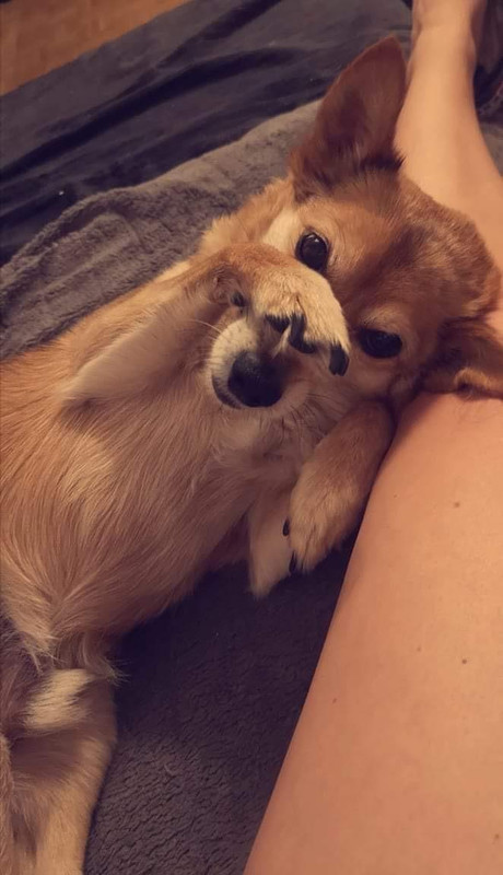 [Image: thumbnail-2.jpg]