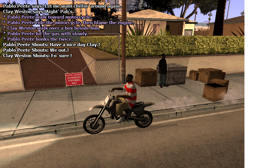 SS3.png