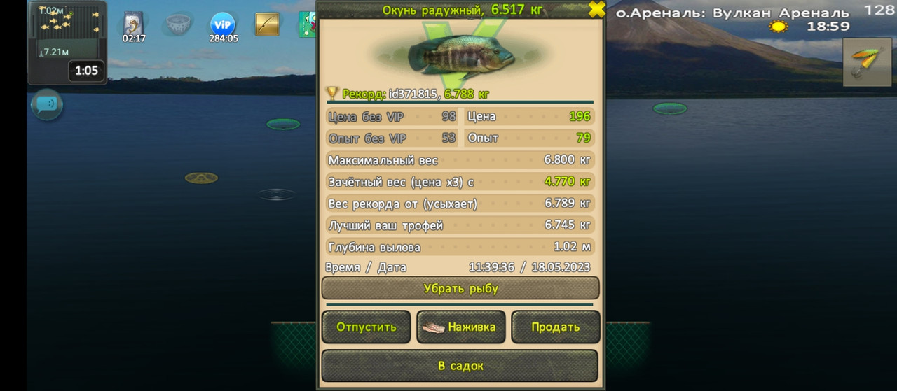 Окунь радужный - Охотник на ведьм