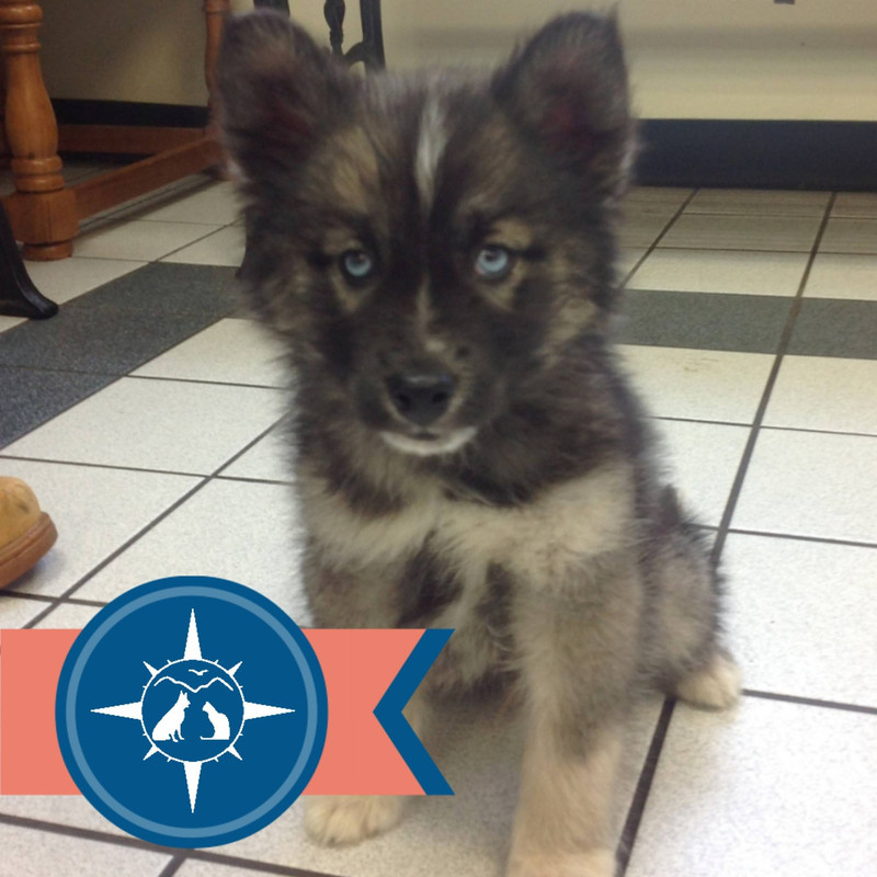 10379780_880555321970349_7716770103720585020_o