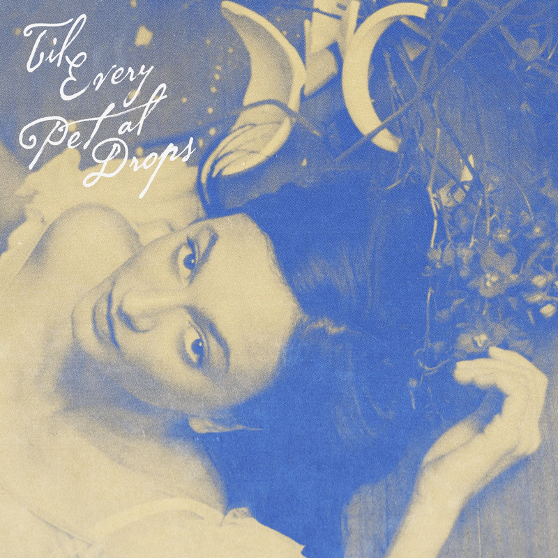 Movie cover image