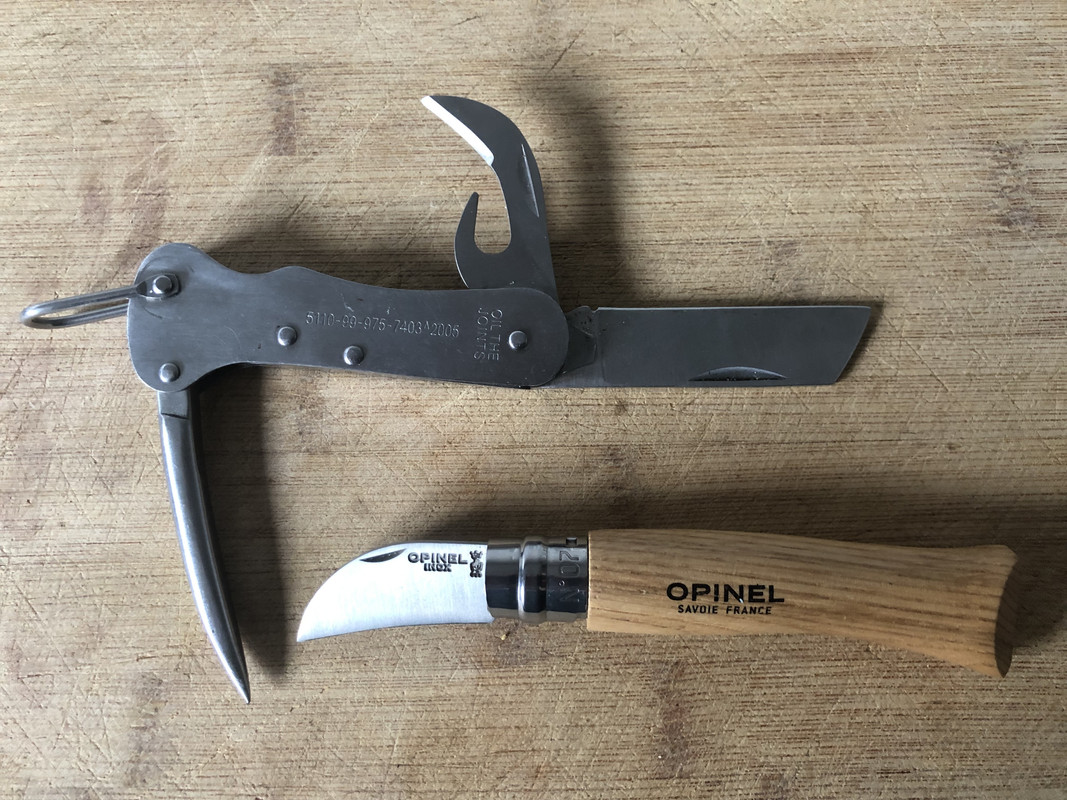 D465576D-366F-410E-A230-512012F1C77C