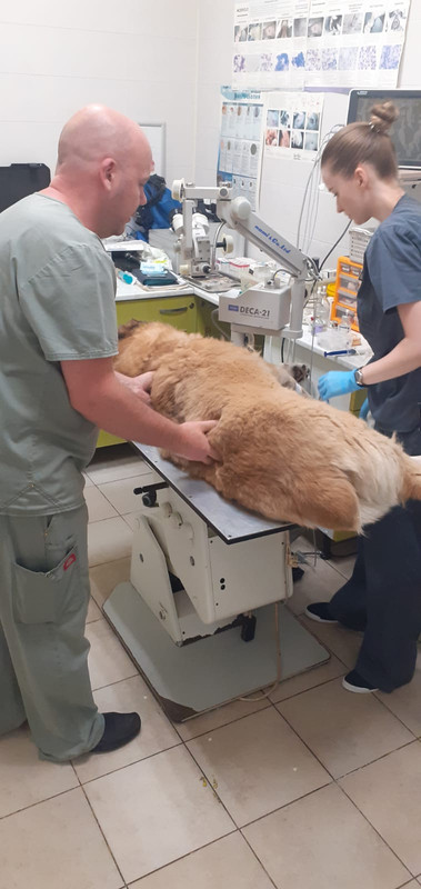 WhatsApp Image 2023-08-02 at 11.59.14 (2)