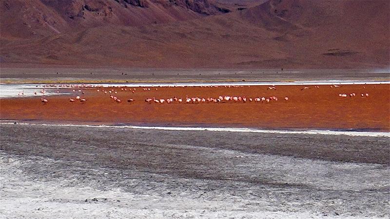 Salar de Uyuni 4 días / 3 noches - Estrella de Sal