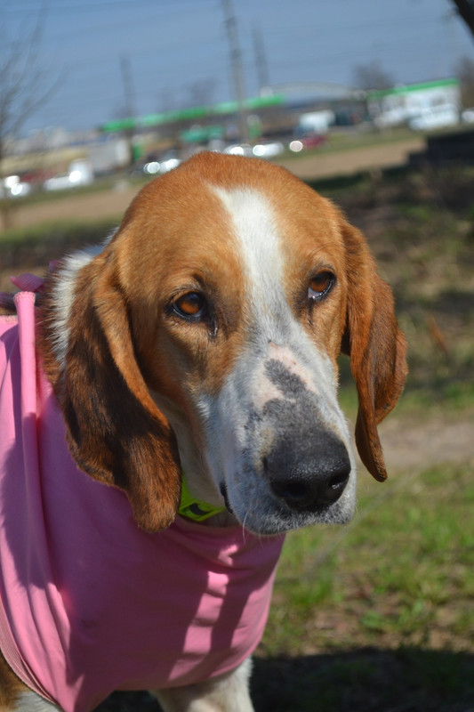 фридагрутсная