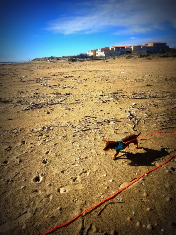 [Image: IMG-2690.jpg]