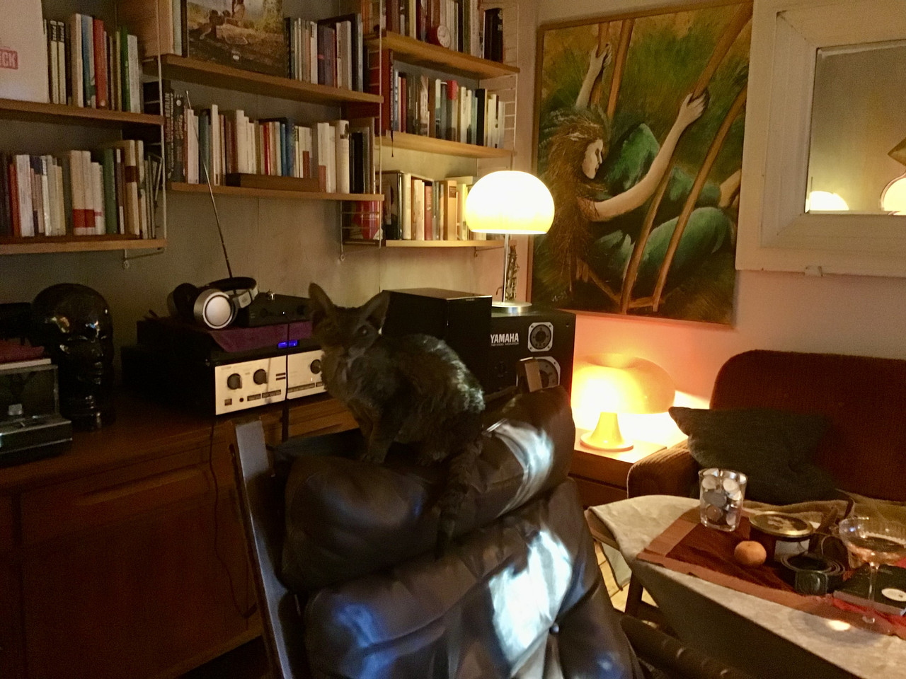 [Bild: IMG-4603.jpg]