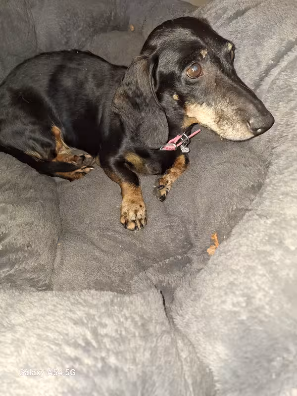 [Image: 20240828-102400.avif]