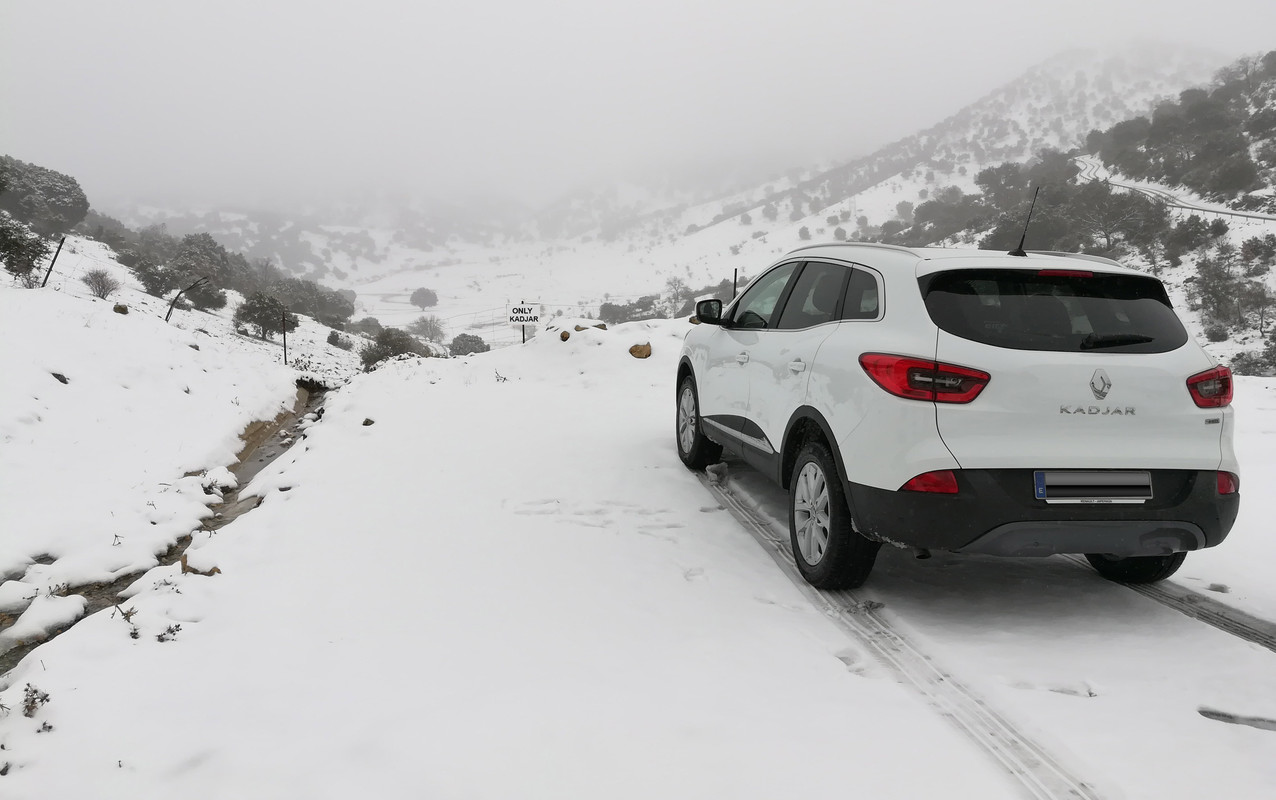 Kadjar1