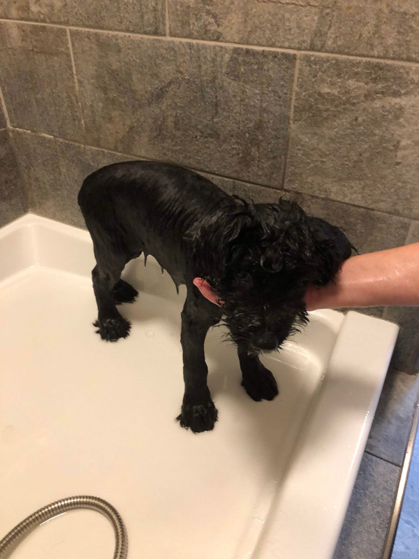 77C5AC9E-3423-46A1-BBBB-1F37F389B062