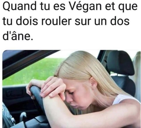 https://i.postimg.cc/T1GBHtYd/1vega.jpg