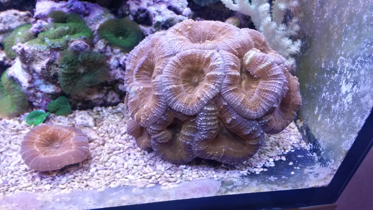 20131218_192006_Richtone(HDR)