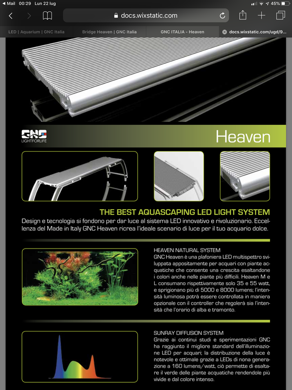 7131C9C5-2826-4E4E-834A-0AE14A474528