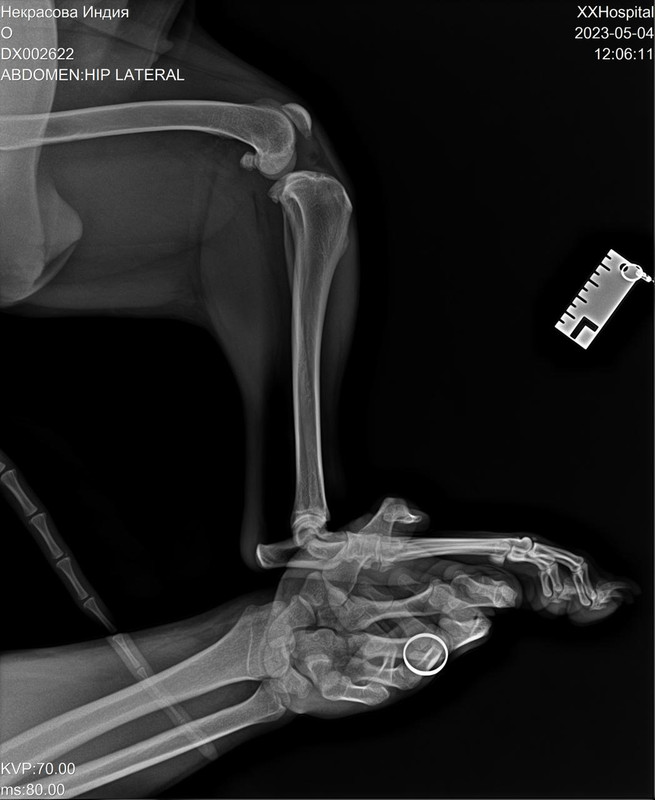 DB8584F7-BC67-49A0-BA9F-87C0586B7159