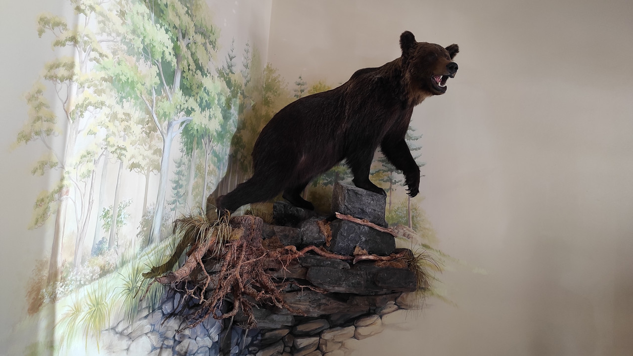 02.12 - IMG_20220616_145512 (Czesio1)