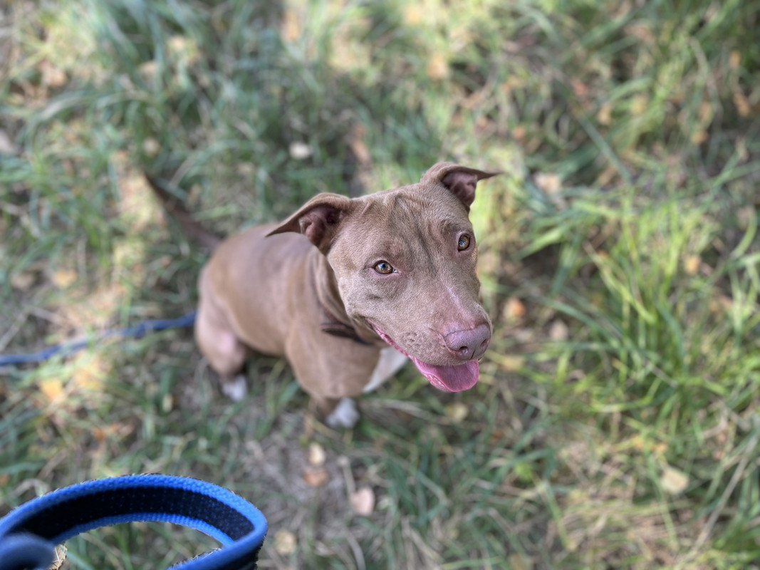 DCAA3048-D1F9-4A87-AD4B-AEEC28559761