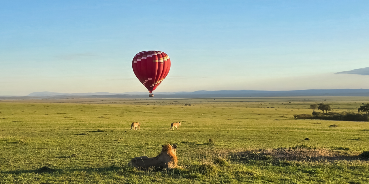 Hot air balloon experience
