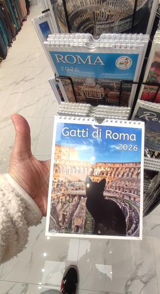 Roma y Nápoles: Bernini, Giorgione y mucho más. - Blogs de Italia - Nápoles: Museo de Capodimonte y Galerías de Italia. (345)