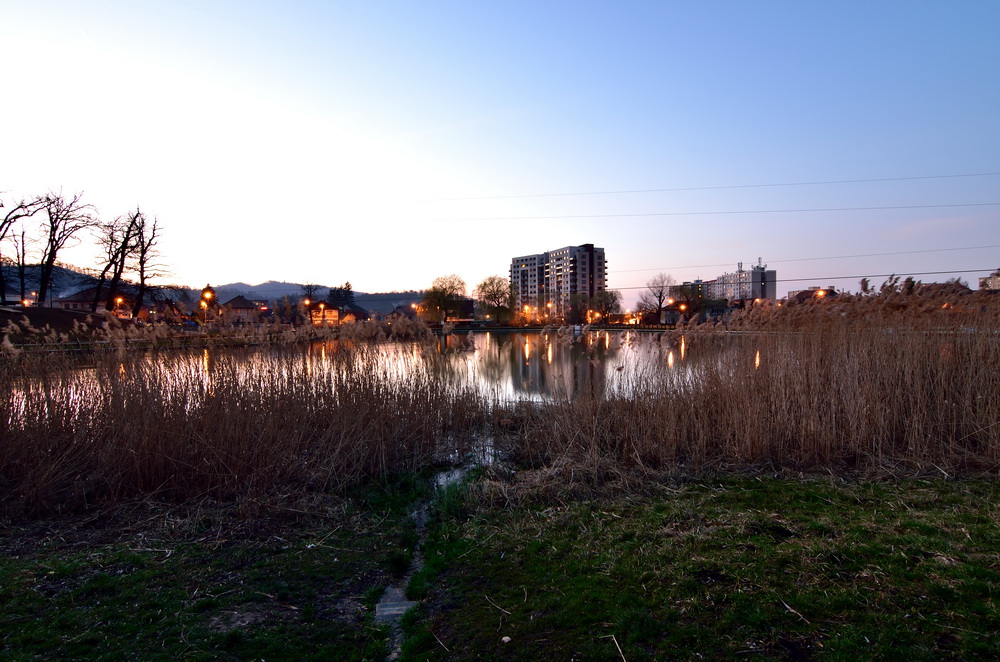 NKN_9947