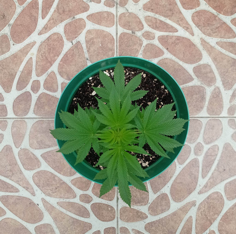 331633314_710368324088150_5854584957467454859_n