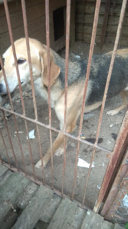 4D369CFC-1068-480B-9EC2-FC4BB6E1DD17