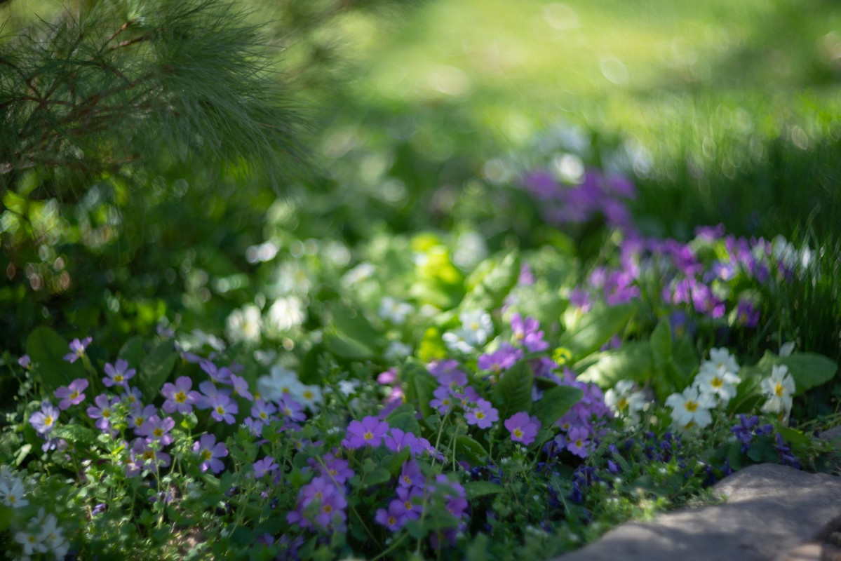 IMG-02c79954a0675daac8109774f57824bd-V