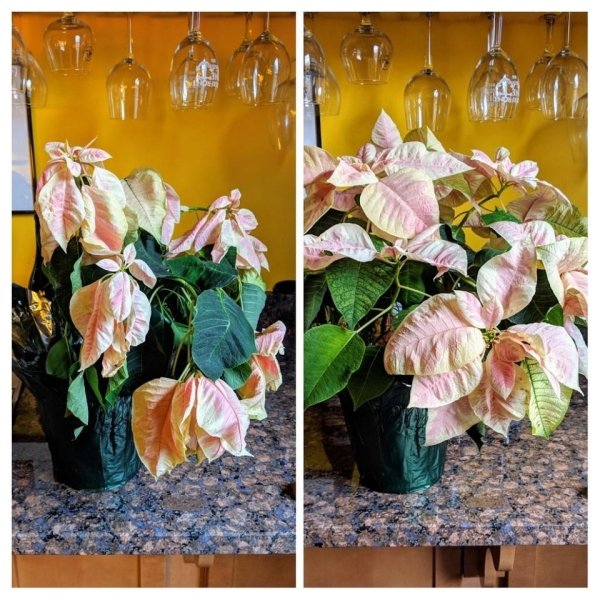 Before-after-24