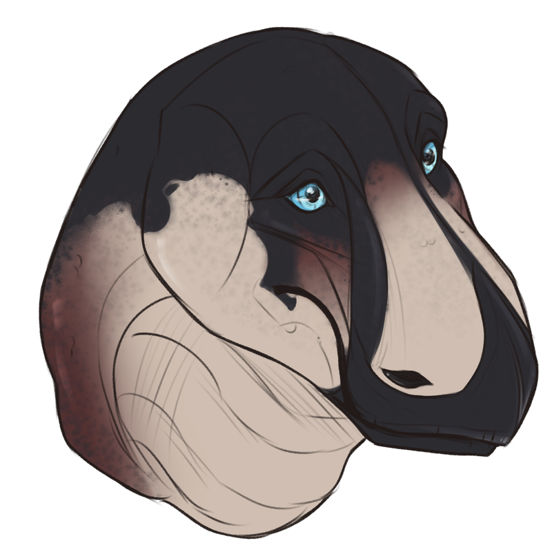 sketchcomm18.png