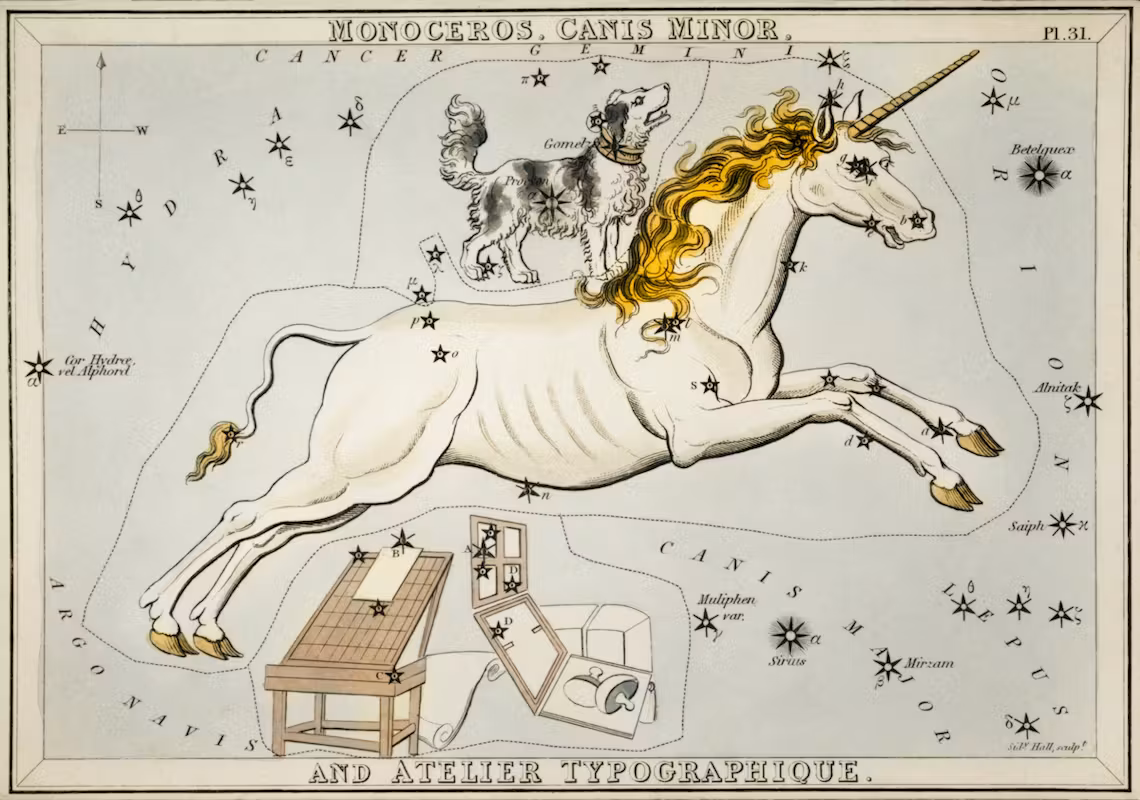 unicorn