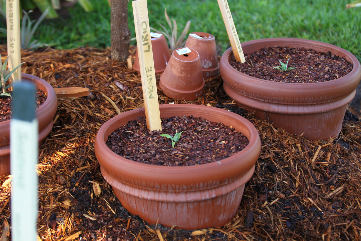 40D1AFE8-A634-4D95-B34B-E5584A5B805B