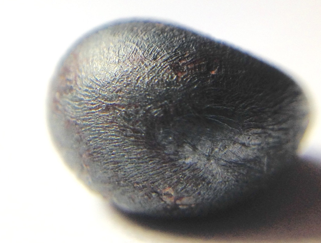 Meteorito siderito NWA 859 IMG-5400