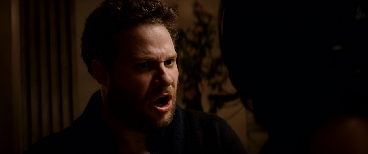 The Interview (2014).mkv_snapshot_01.15.08_[2018.03.22_18.29.05]