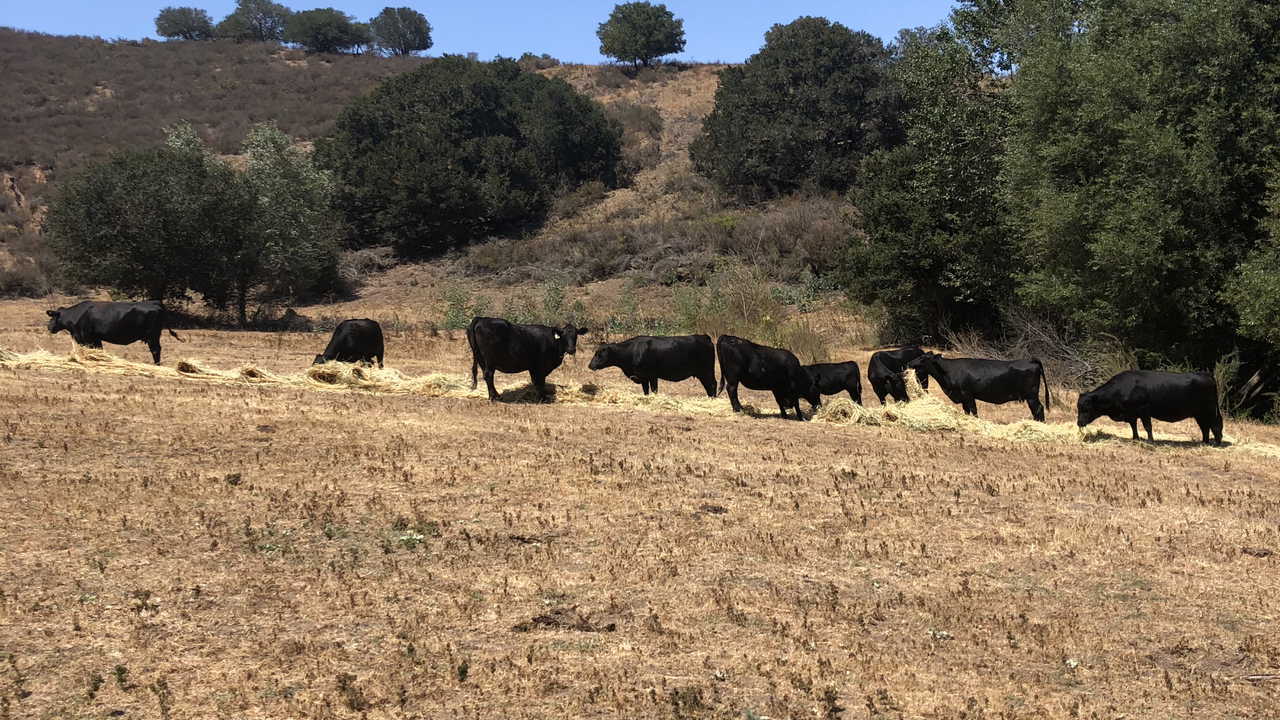 600A00AB-A9D6-4D60-81DE-D74ECB739942