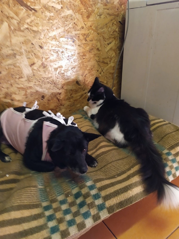 1AEB8111-B73A-4B61-B8E4-48AE906B436E