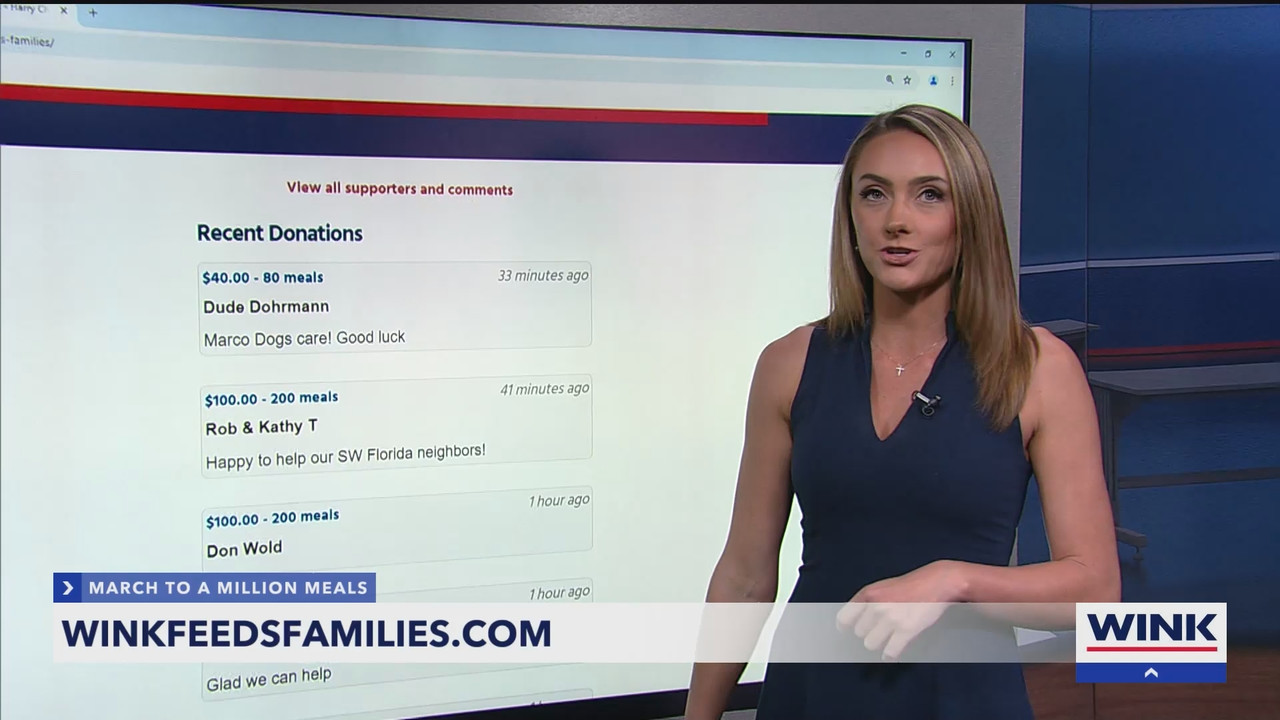 WINK News at 11_20250212_04000435.ts_snapshot_22.14.888