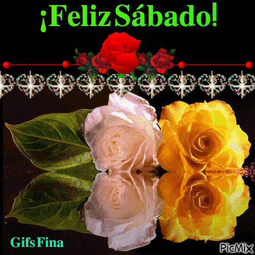5332607-e484d.gif