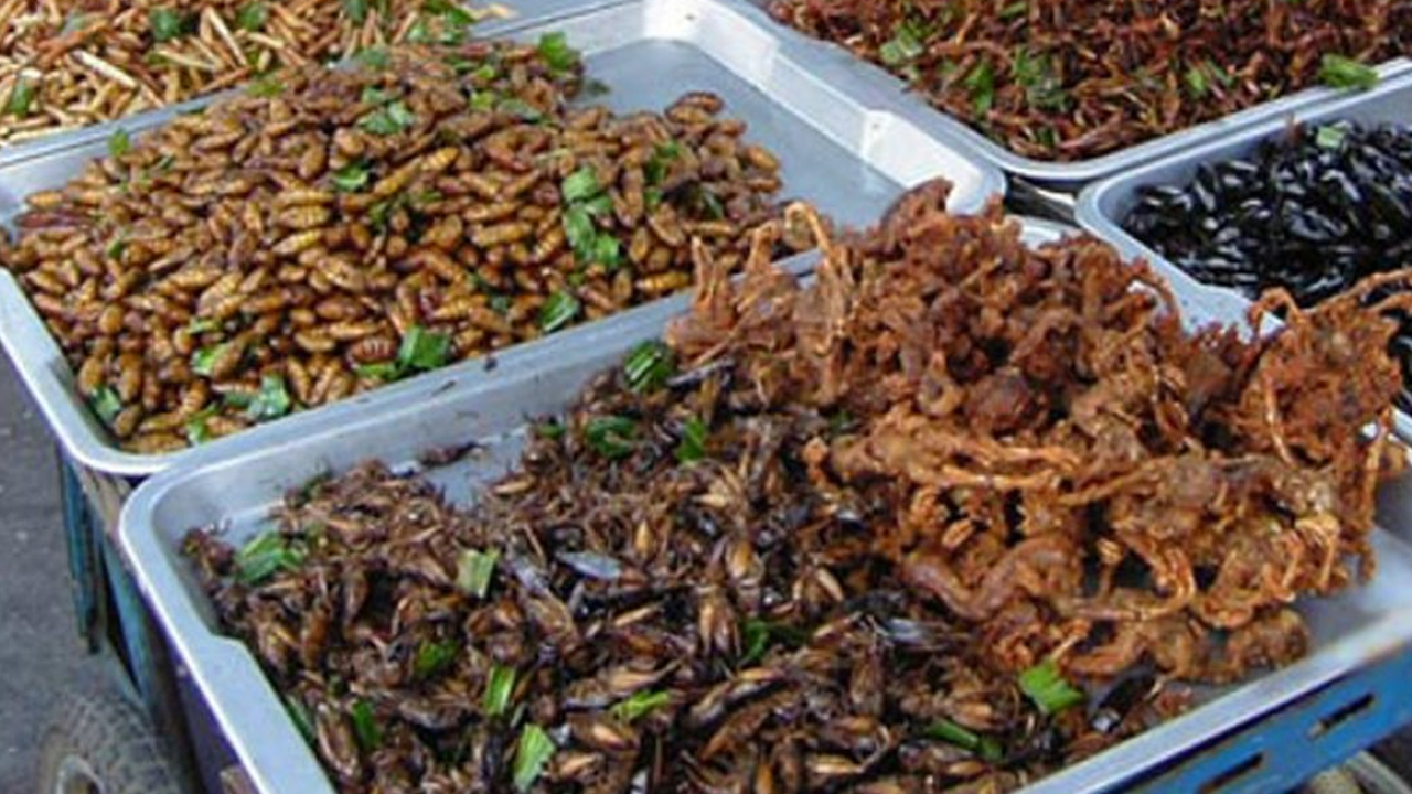 3. Serangga Goreng Beraneka Ragam