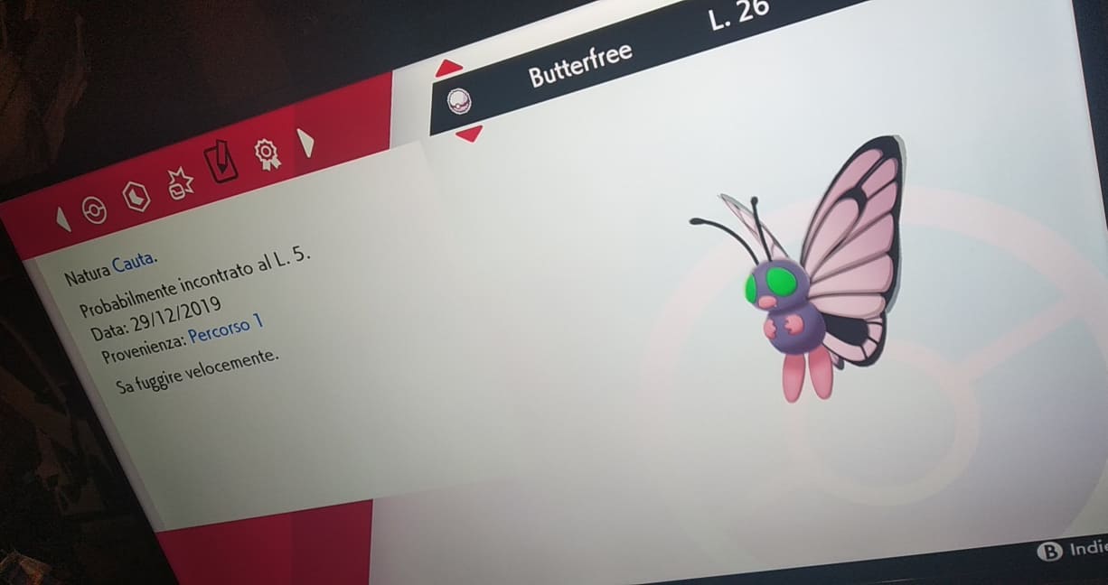 81161290_3330677693672694_8095755165295968256_n