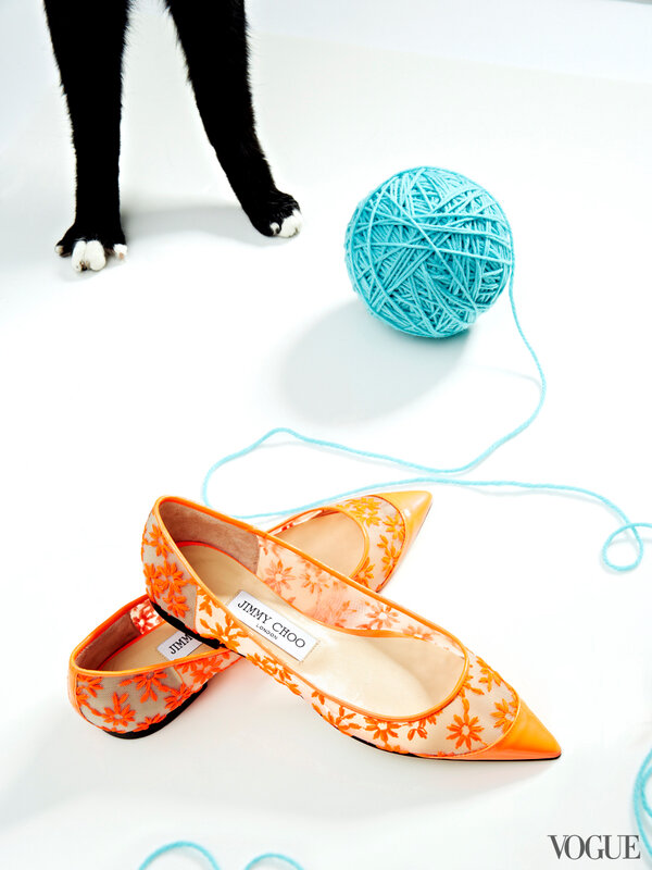 cats-kittens-flats-shoes-17-161901373229