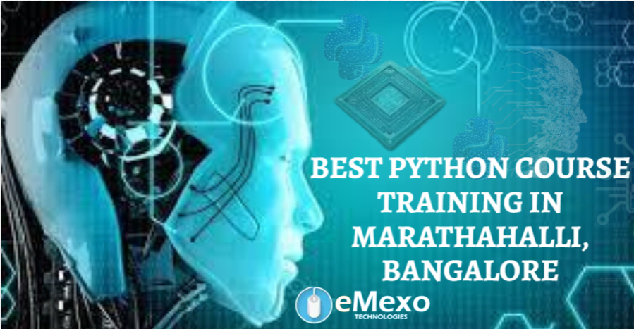 Python Training Banner