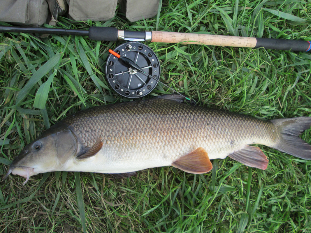 sept-27-barbel-6.jpg