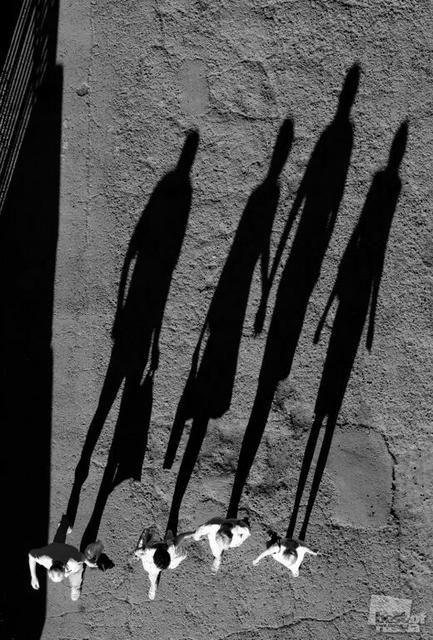 1d2469cc0c8108db4c60889ed76f7e02