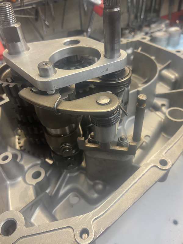 20E6D2CA-241B-4193-9671-AB566A3076F1