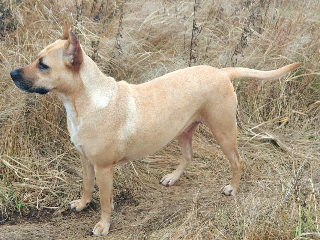 91CB9150-EC10-416A-B65E-1F4D68294C17