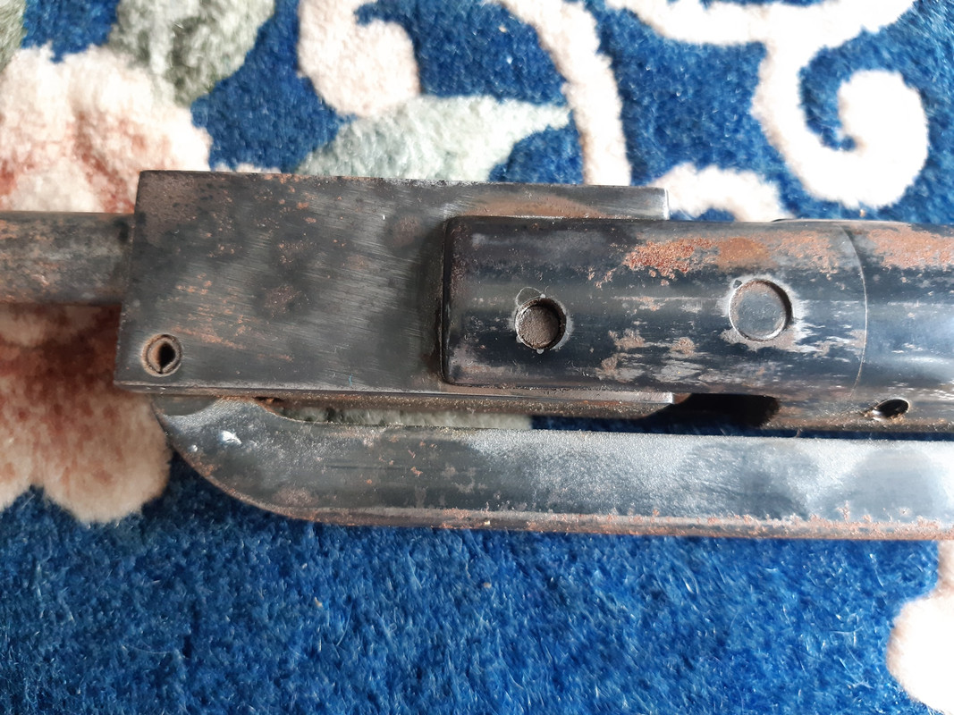 454984119_1174566810323237_7553776666377854401_n