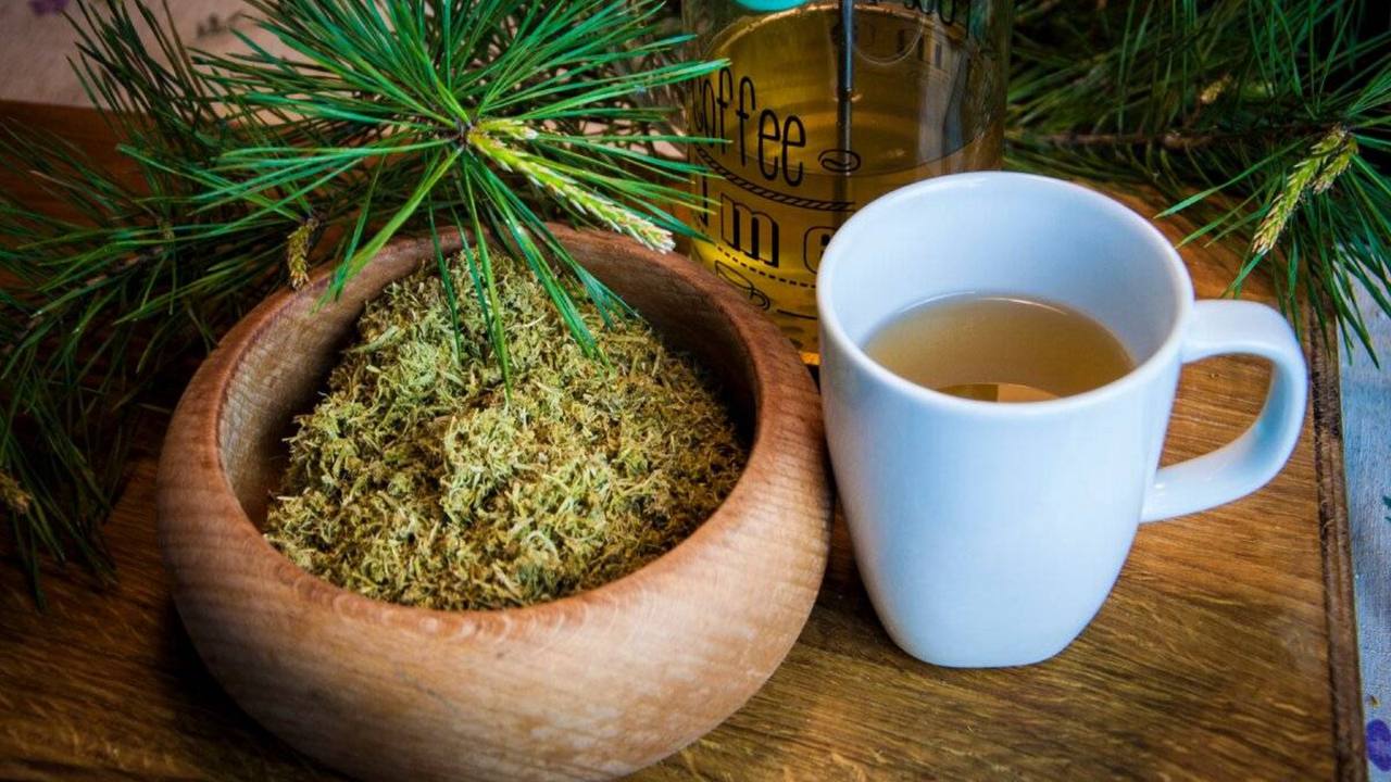 [Изображение: Ahr-WHHfb6MRQTl1mn-S6F4BMOPOo7y-Zu-CEbk-...ZDs-XC.jpg]