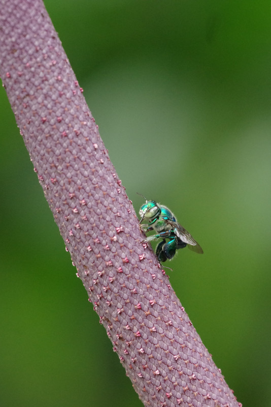 Fieldwork photo 3